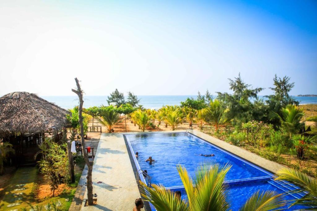 Whisky Point Surf Hotel *