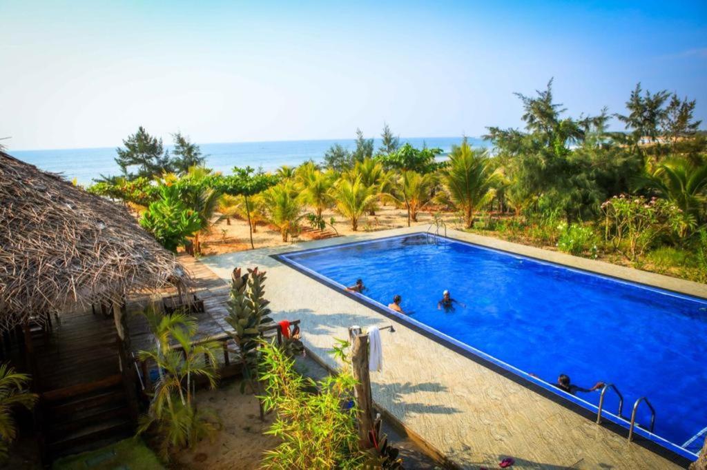 Hotel Whisky Point Surf