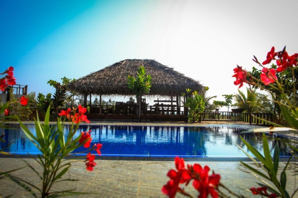 Hotel Whisky Point Surf *
