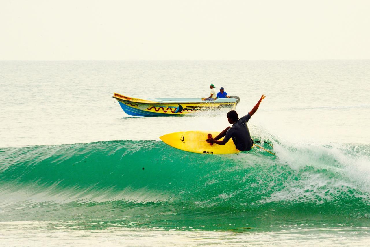 Whisky Point Surf
