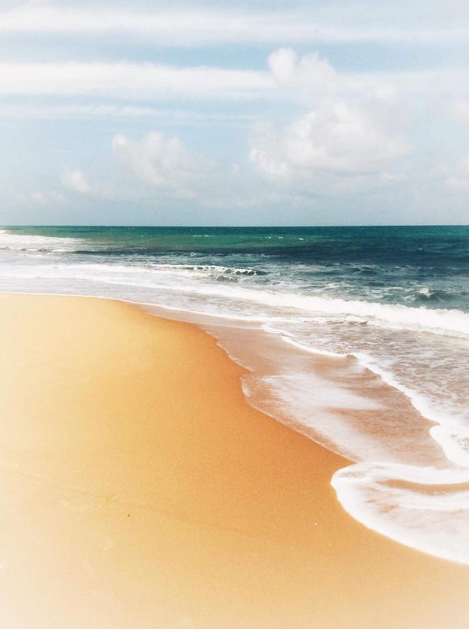 Whisky Point Surf *